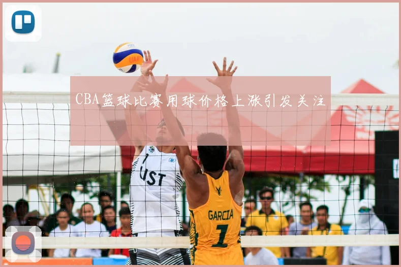 CBA篮球比赛用球价格上涨引发关注