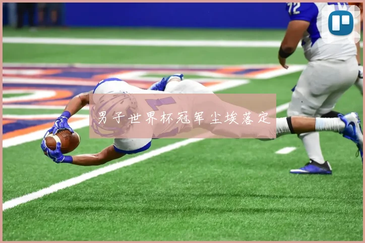 男子世界杯冠军尘埃落定
