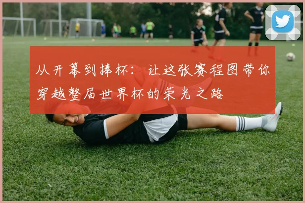 从开幕到捧杯：让这张赛程图带你穿越整届世界杯的荣光之路