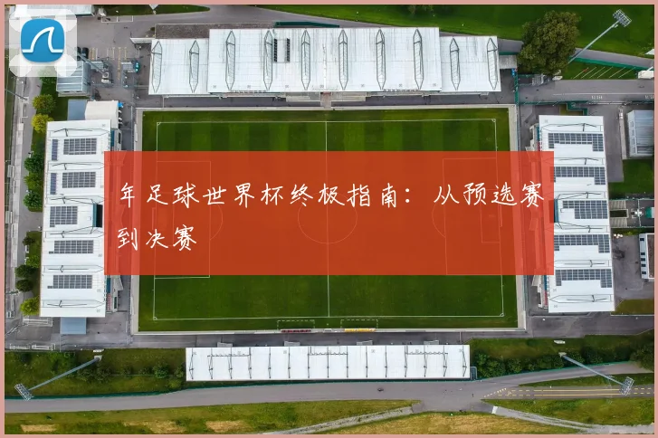 年足球世界杯终极指南：从预选赛到决赛