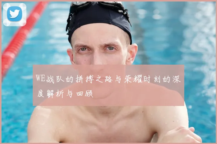 WE战队的拼搏之路与荣耀时刻的深度解析与回顾