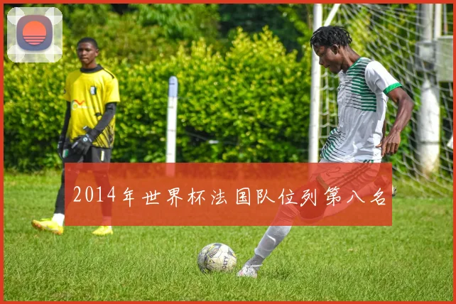 2014年世界杯法国队位列第八名