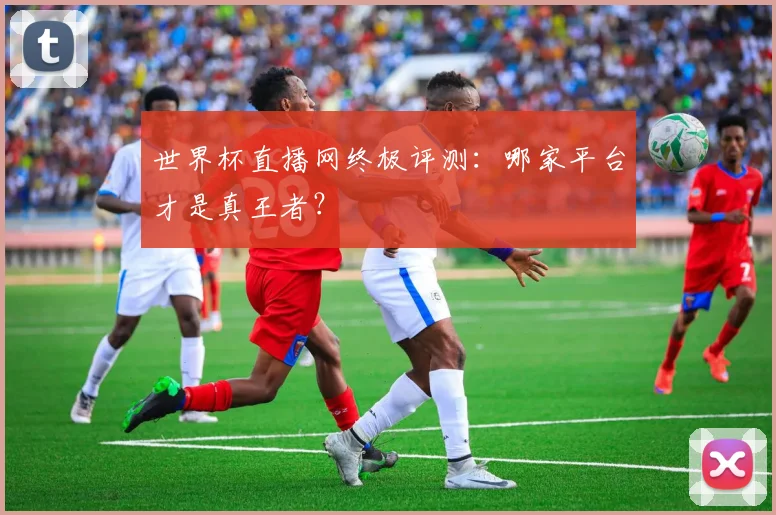 世界杯直播网终极评测：哪家平台才是真王者？
