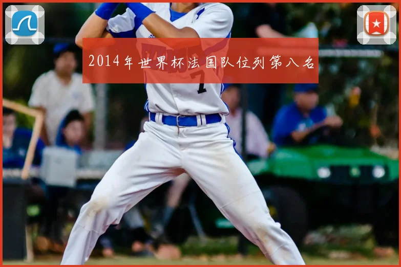 2014年世界杯法国队位列第八名