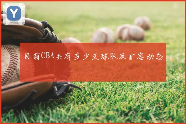 目前CBA共有多少支球队及扩容动态