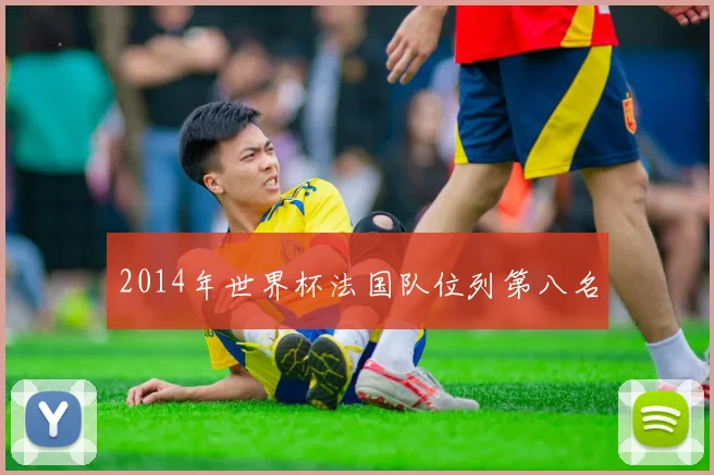 2014年世界杯法国队位列第八名