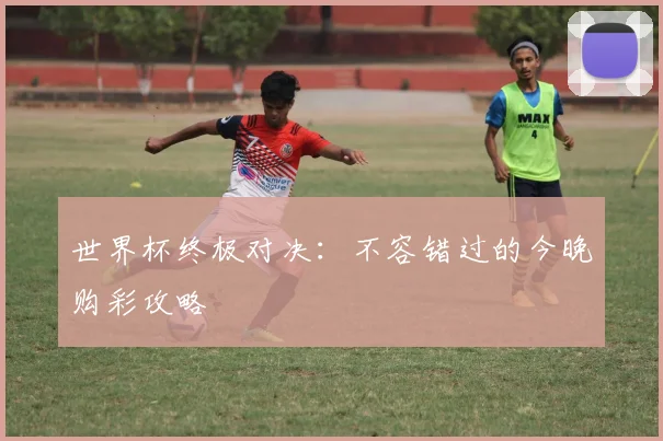 世界杯终极对决:不容错过的今晚购彩攻略